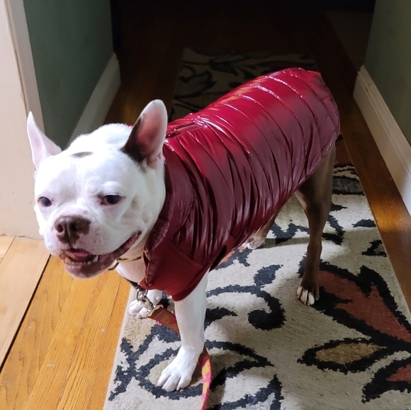 MEET YOUR SELLER - Picture 8 of 11